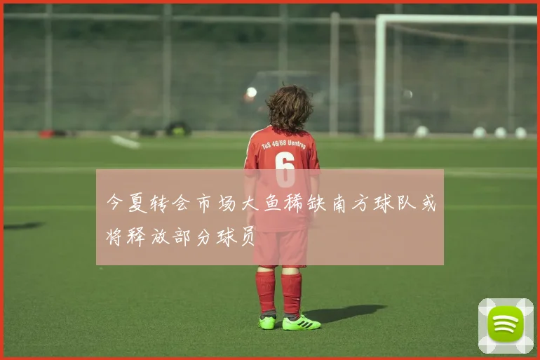 今夏转会市场大鱼稀缺南方球队或将释放部分球员